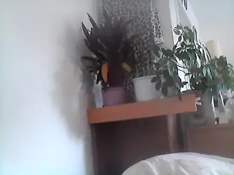 Snapshot of Bigpenis6y chatting on January 24, 9:17 am Bigpenis6y online show from January 24, 9:17 am