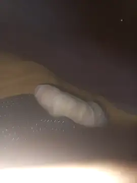 Eldelas guachas online show from December 1, 9:23 am