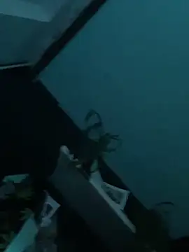 big cock is back online show from December 29, 1:56 am