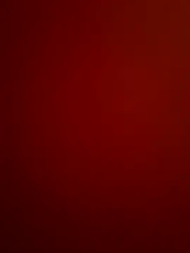 portugadopau online show from November 25, 2:30 pm