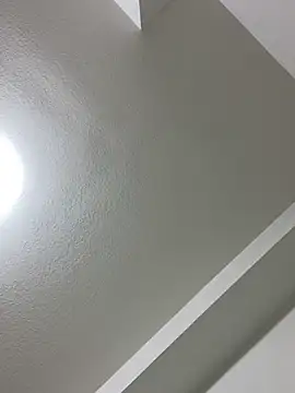 islandvybee55 online show from March 3, 3:50 am