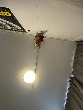 wolfwhite95 online show from October 31, 2:42 pm