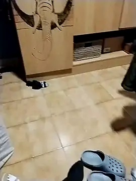 minitranca online show from October 26, 11:18 pm