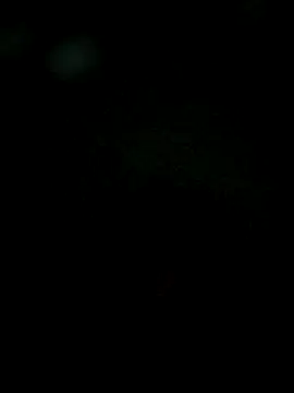 Karthik924 online show from February 1, 6:19 pm