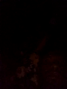 Hilkanna  online show from March 8, 9:30 pm