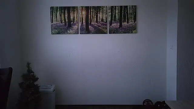 Harry Boldt online show from January 21, 7:07 am