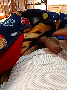 loomolmedo online show from March 1, 2:39 pm