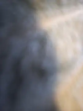 palaza11 online show from December 2, 9:23 am