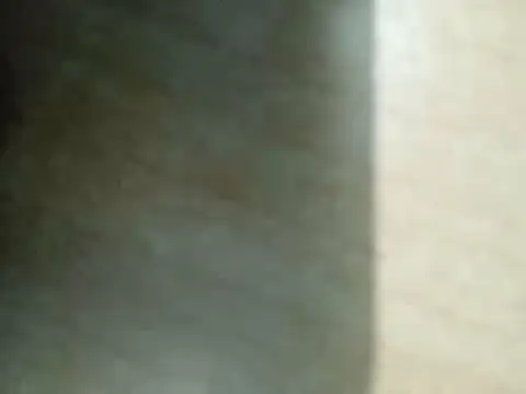 SALLY OMAR  online show from January 13, 5:39 pm