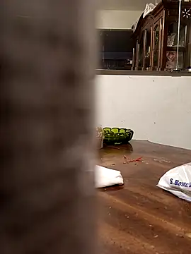 yasohw online show from February 8, 12:54 pm