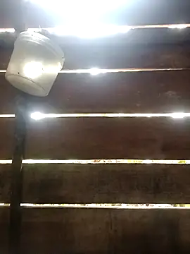 Snapshot of Huebolocko chatting on January 6, 1:41 pm Huebolocko online show from January 6, 1:41 pm