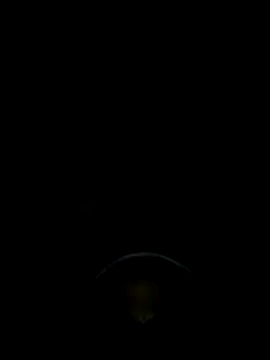 styu2001 online show from June 4, 5:57 am