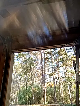 Buffshagswell online show from November 20, 2:05 pm