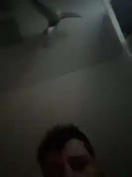 janberlin online show from February 25, 8:04 am