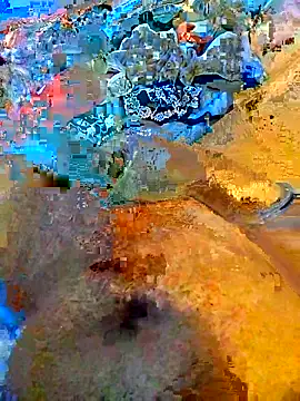 MackJos online show from December 21, 11:29 am