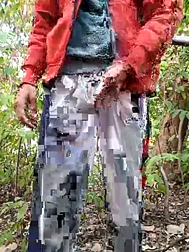 Piyush 2024 online show from January 11, 2:15 am