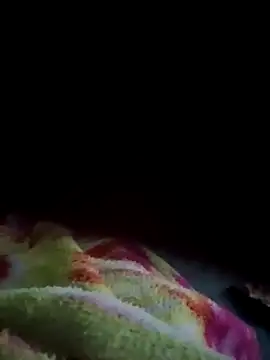 Gujrat player online show from January 22, 6:41 pm