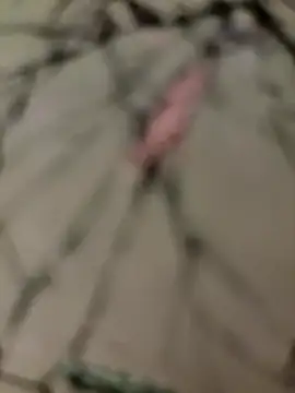 lescro95  online show from December 14, 3:30 pm