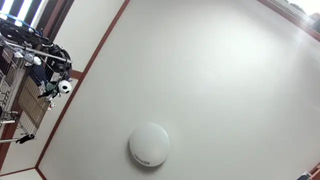 tuki fu online show from December 8, 3:10 am