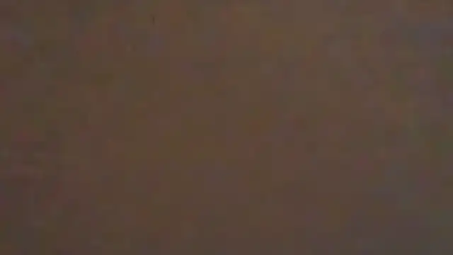 bearcloudcomputa online show from December 3, 7:52 am