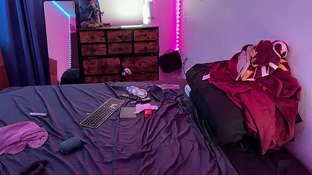 bearcloudcomputa online show from December 14, 7:04 am