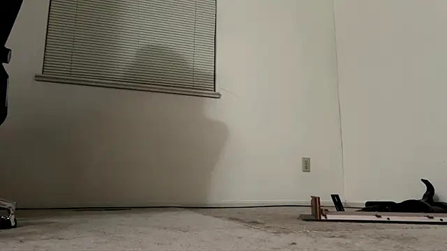 regular003 online show from October 15, 3:58 am