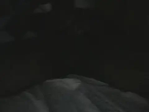 tumarditoperro online show from December 30, 10:01 pm