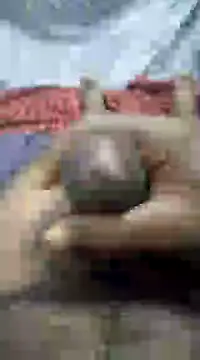 Snapshot of mallucallboy2104 chatting on January 1, 9:20 pm mallucallboy2104 online show from January 1, 9:20 pm