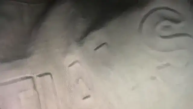 Dylansd online show from January 14, 12:45 pm