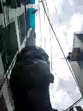 sailord online show from March 30, 6:58 am