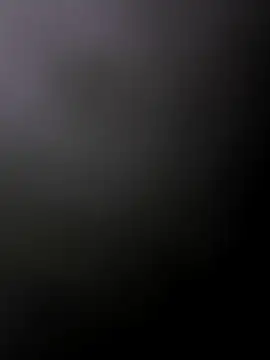 faaseel online show from February 13, 3:50 am