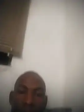zuludog online show from June 8, 4:02 am