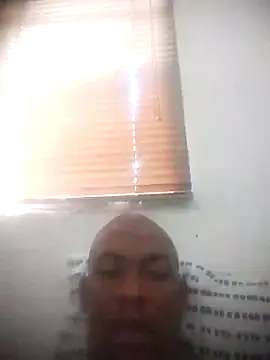 zuludog online show from July 28, 12:12 pm