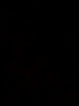 Feli230990 online show from October 8, 7:57 am