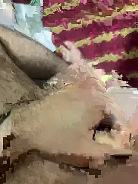 hamoo23p online show from December 14, 1:01 am