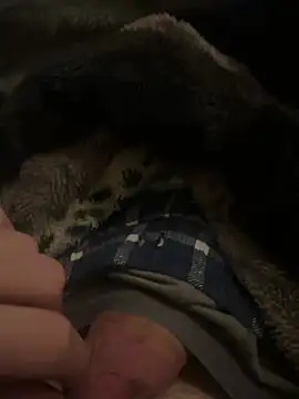 hamoo23p online show from February 22, 2:46 am