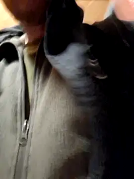 Romakappa1812 online show from April 1, 6:38 pm