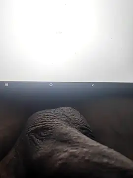 Snapshot of montero_3535 chatting on February 12, 7:56 pm montero 3535 online show from February 12, 7:56 pm