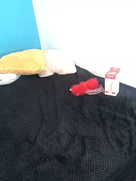 fabrizzio   online show from January 17, 8:26 pm