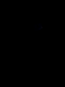 lokillo- 3000 online show from March 15, 4:13 am