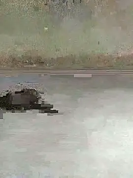 teluguu-rajj online show from October 27, 2:36 am