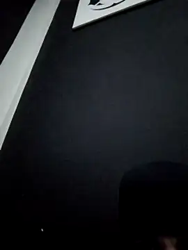 Snapshot of Adem_usr chatting on February 7, 8:31 pm Adem usr online show from February 7, 8:31 pm