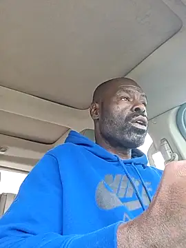 birdg online show from March 23, 8:37 pm