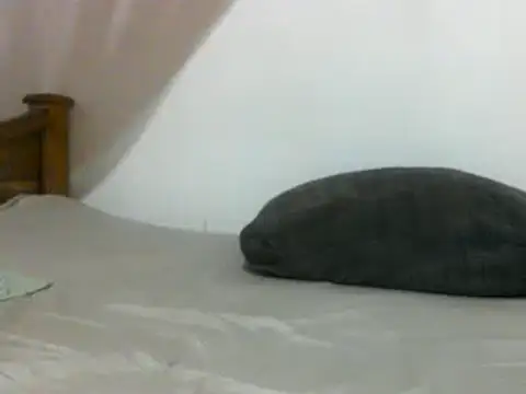 sissydinu online show from February 28, 6:10 am