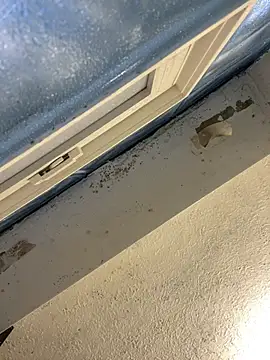 YODAPESOS online show from February 23, 12:51 pm