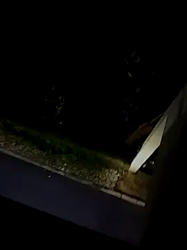 BUTTerflyTODAY online show from March 1, 3:39 am