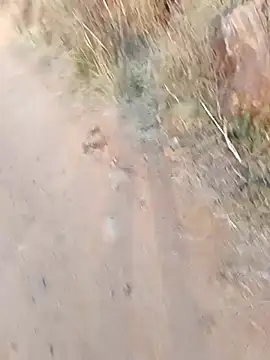 devarajgm fuck online show from March 5, 2:03 am