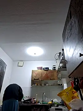 ThePython666 online show from November 15, 7:10 am