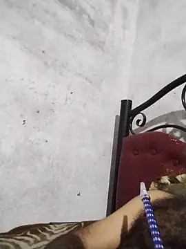 salimbasha online show from November 26, 4:15 am