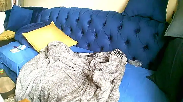 SHORTGUN STALLION online show from September 20, 6:35 am